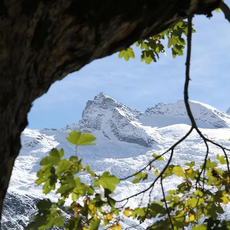 Fw Oberstallberg * Bramberg am Wildkogel