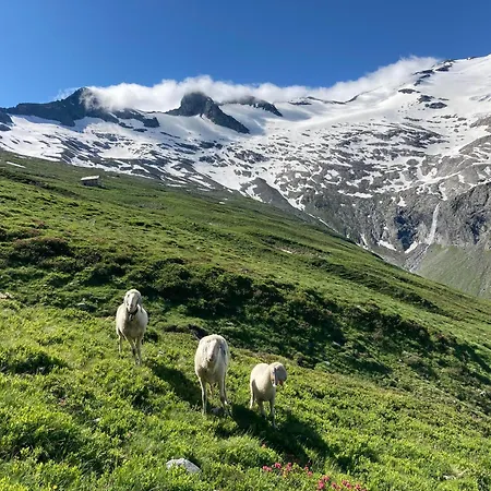 Fw Oberstallberg דירה