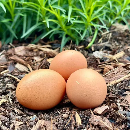 דירה Fw Oberstallberg *