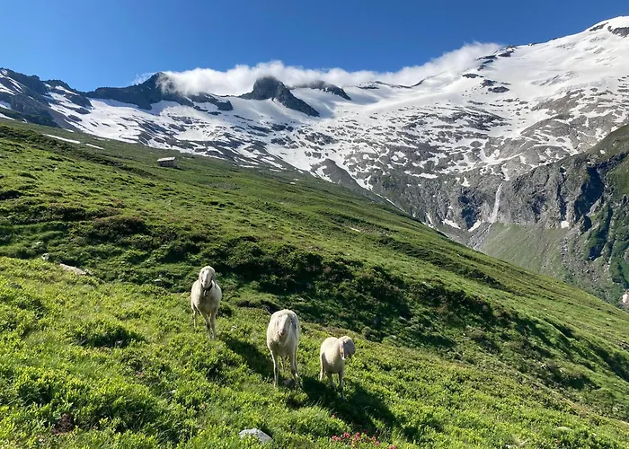 Fw Oberstallberg Lejlighed