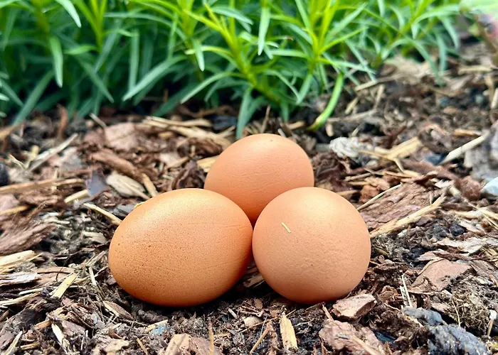 Lejlighed Fw Oberstallberg *